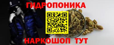 прущий лед Бийск