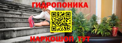 ПСИЛОЦИБИНОВЫЕ ГРИБЫ Берёзовский