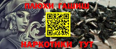 прущий лед Бийск