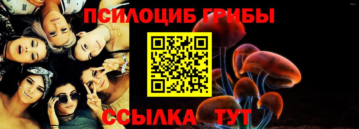 Псилоцибиновые грибы Psilocybe Клинцы